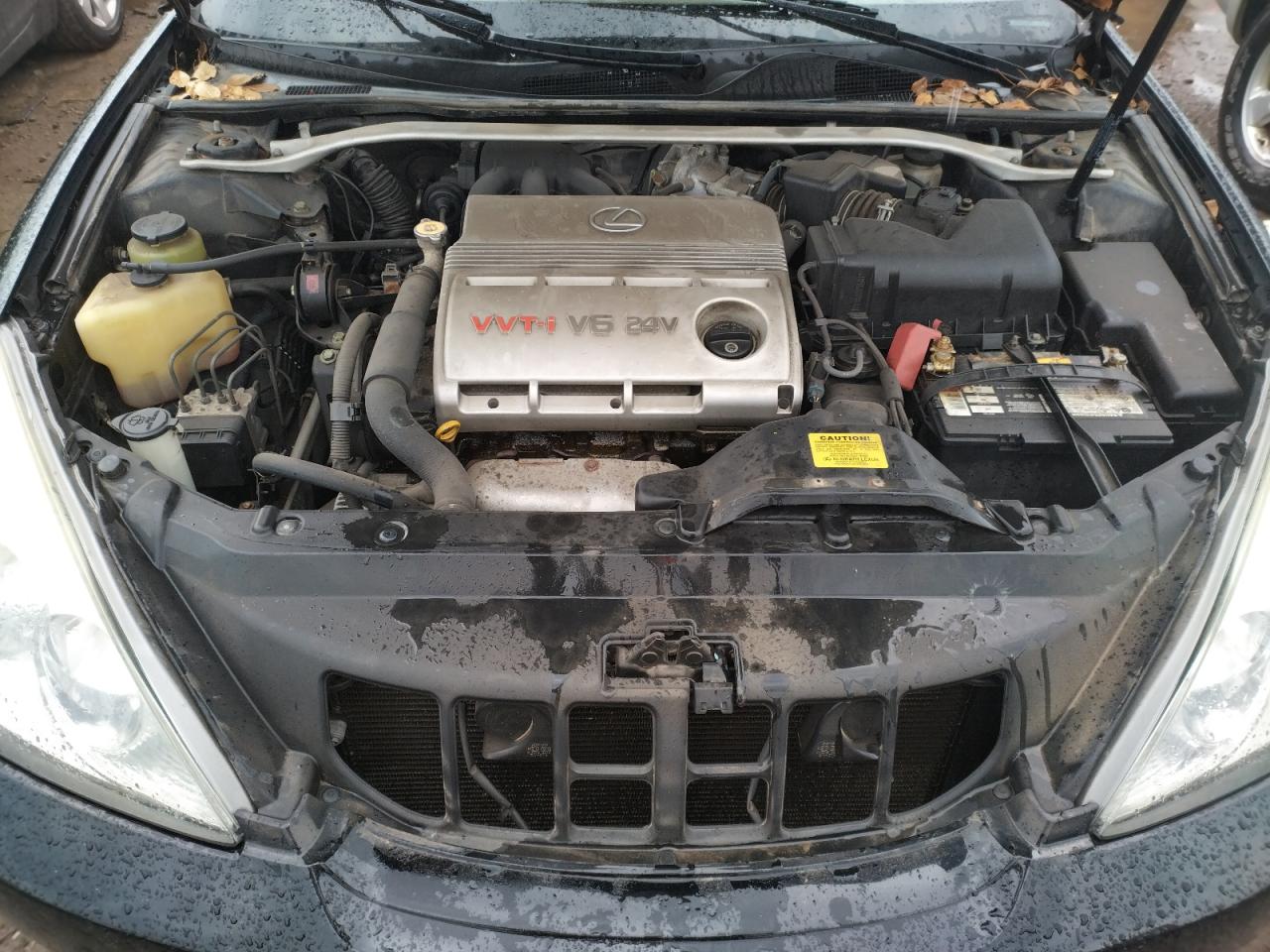 Photo 7 from auction – 2003 LEXUS ES 300 with VIN JTHBF30G736008554