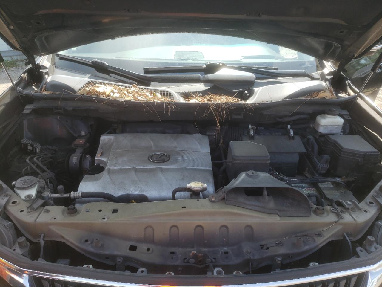 Photo 7 from auction – 2010 LEXUS RX 350 with VIN 2T2BK1BA3AC057620