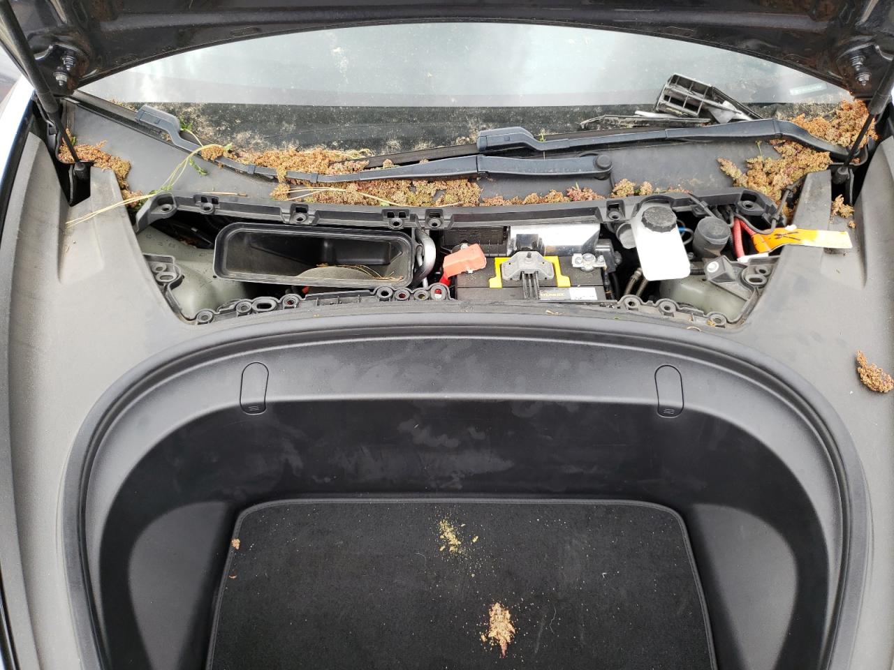 Photo 7 from auction – 2018 TESLA MODEL 3 with VIN 5YJ3E1EA2JF025894
