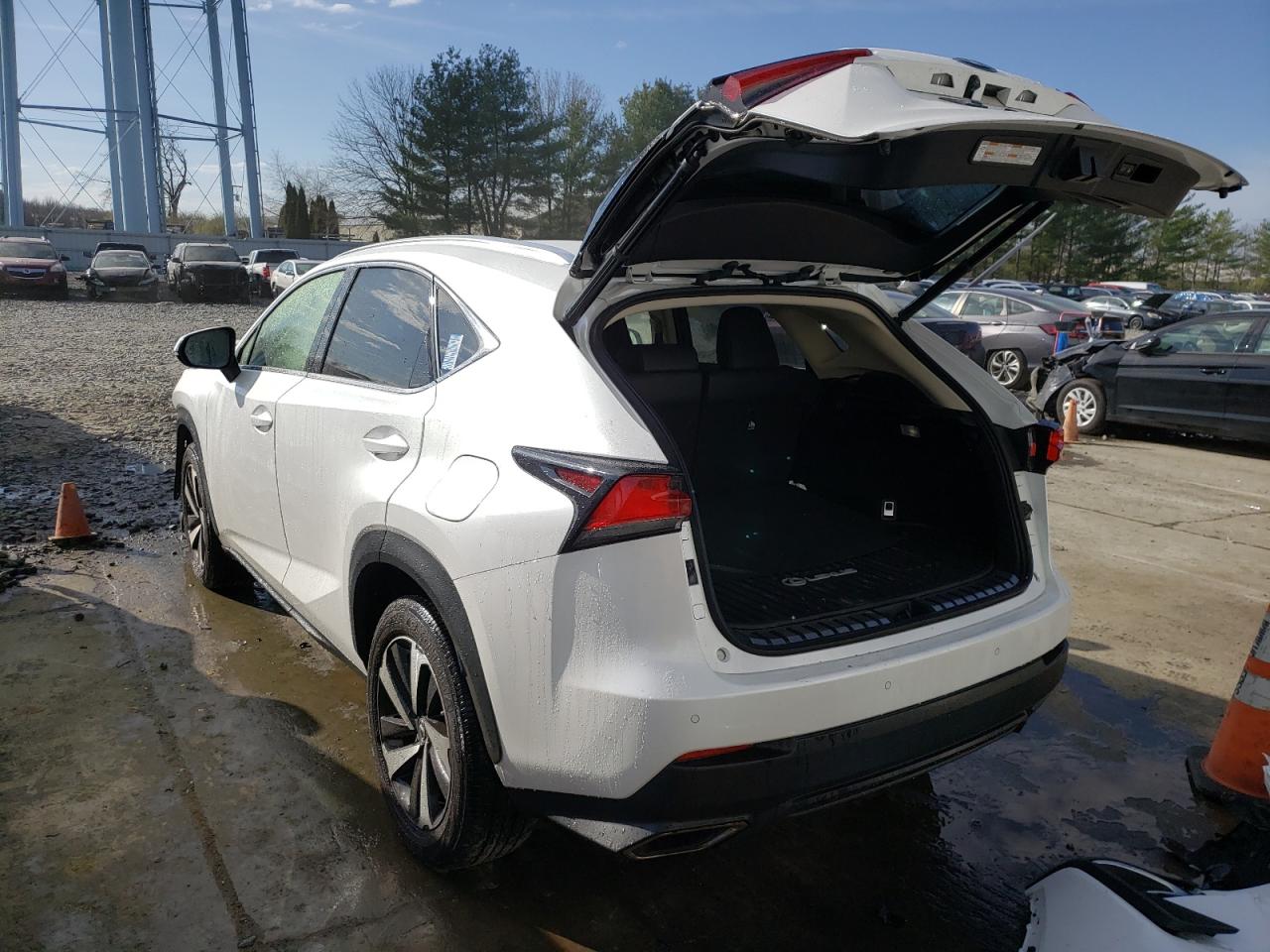 Photo 3 from auction – 2018 LEXUS NX 300 BAS with VIN JTJBARBZ4J2171584