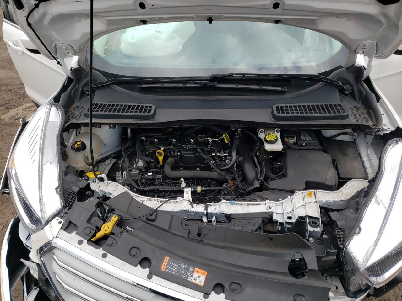 Photo 7 from auction – 2019 FORD ESCAPE SE with VIN 1FMCU0GD2KUC22475