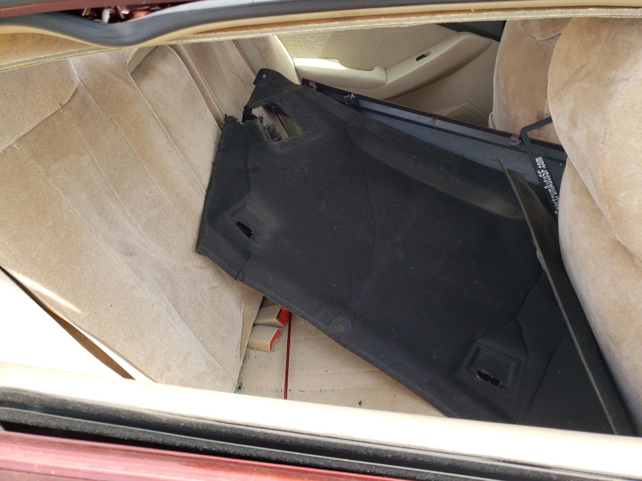 Photo 6 from auction – 2011 NISSAN ALTIMA BAS with VIN 1N4AL2AP7BN433569