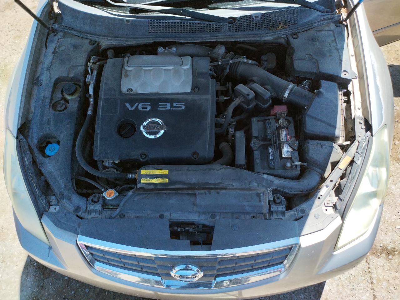 Photo 7 from auction – 2007 NISSAN MAXIMA SE with VIN 1N4BA41E67C863584