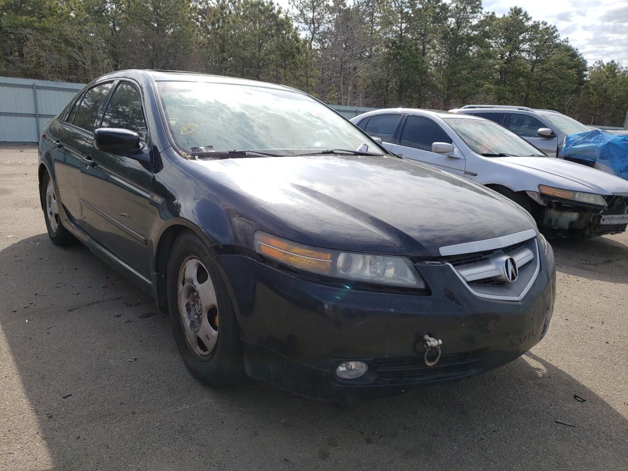 ACURA TL 2004 with VIN 19UUA66234A038110 - Photo from auction