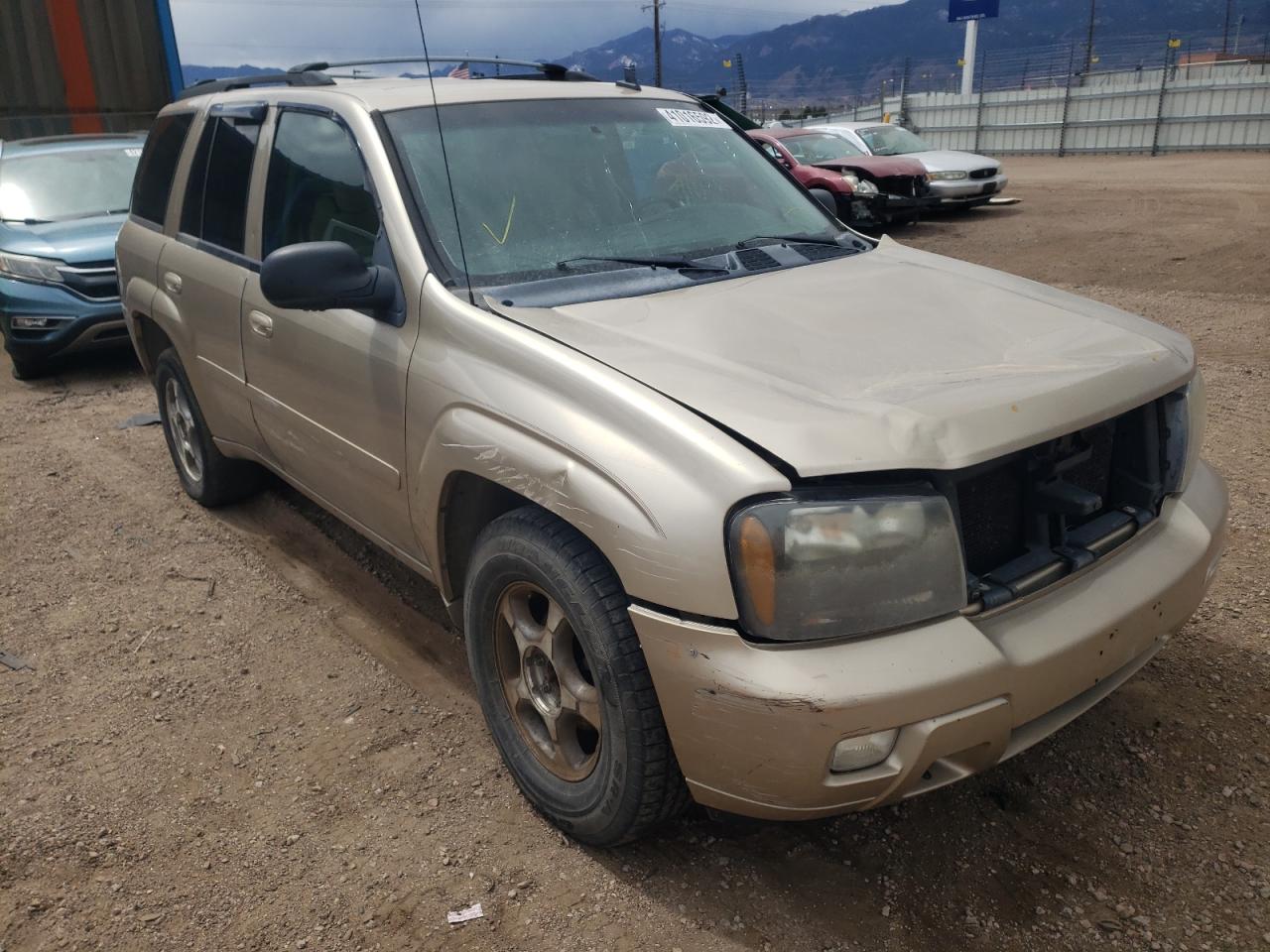 Photo 1 from auction – 2006 CHEVROLET TRAILBLAZE with VIN 1GNDT13S462103955