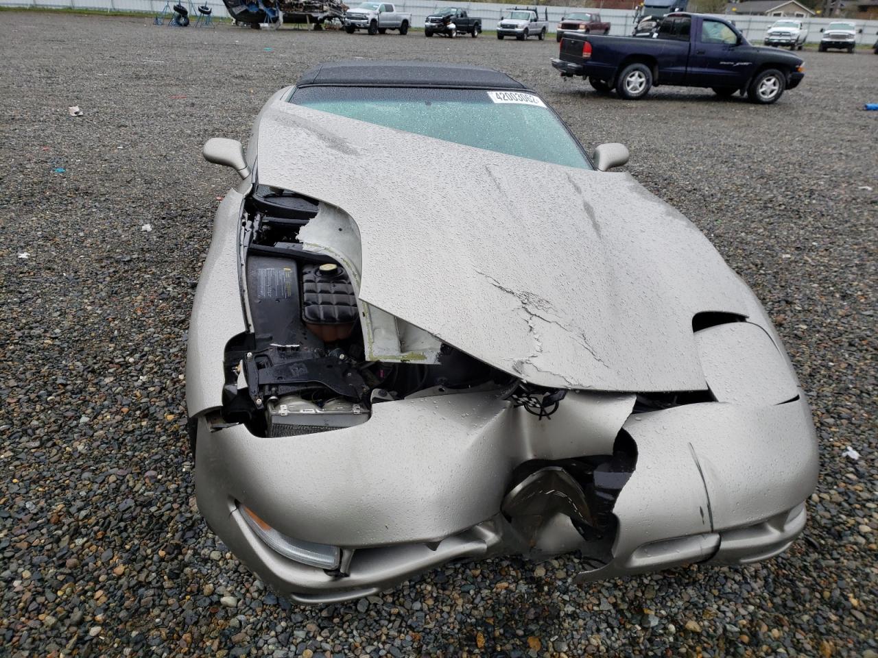 Photo 9 from auction – 2002 CHEVROLET CORVETTE with VIN 1G1YY32G925103245