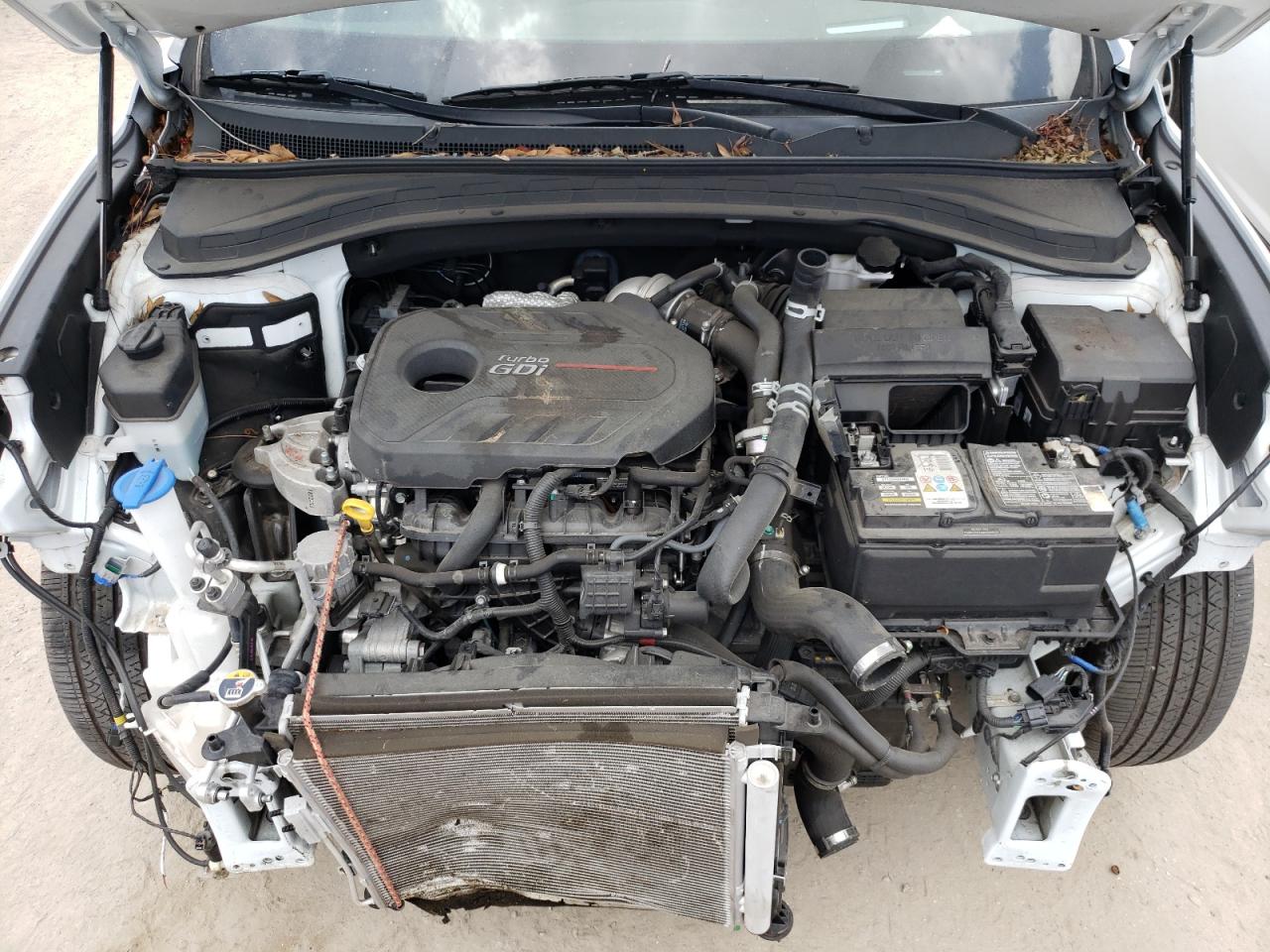 Photo 7 from auction – 2019 HYUNDAI SANTA FE L with VIN 5NMS53AA6KH090471
