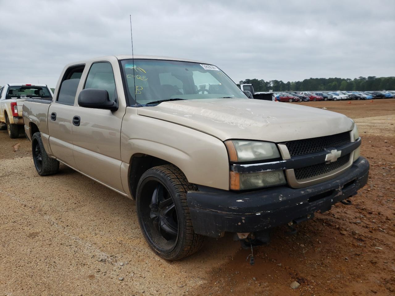 CHEVROLET SILVERADO 2006 with VIN 2GCEC13T661245987 - Photo from auction