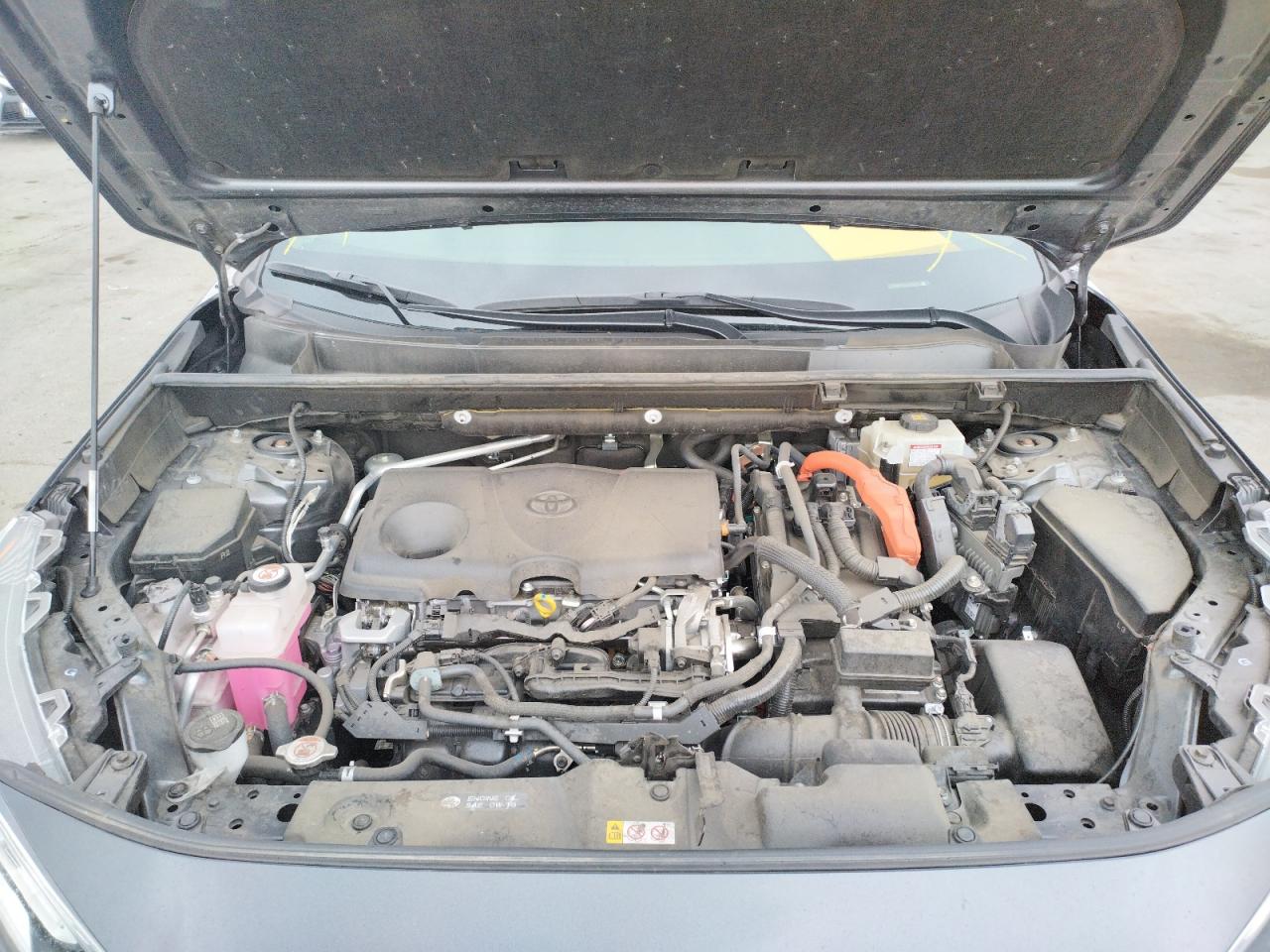 Photo 7 from auction – 2020 TOYOTA RAV4 XLE with VIN JTMRWRFV2LD068469