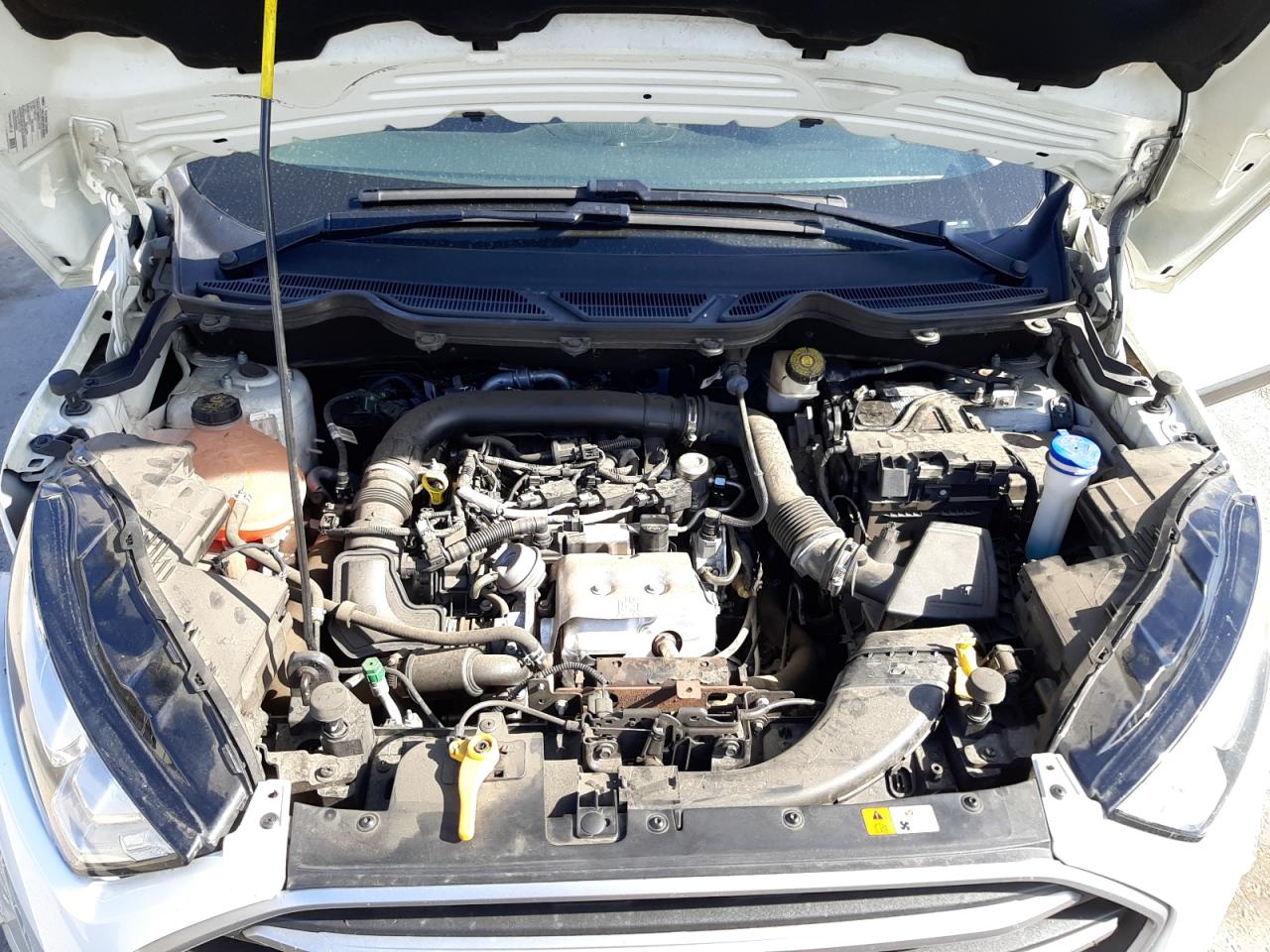 Photo 7 from auction – 2019 FORD ECOSPORT S with VIN MAJ3S2GE2KC290981