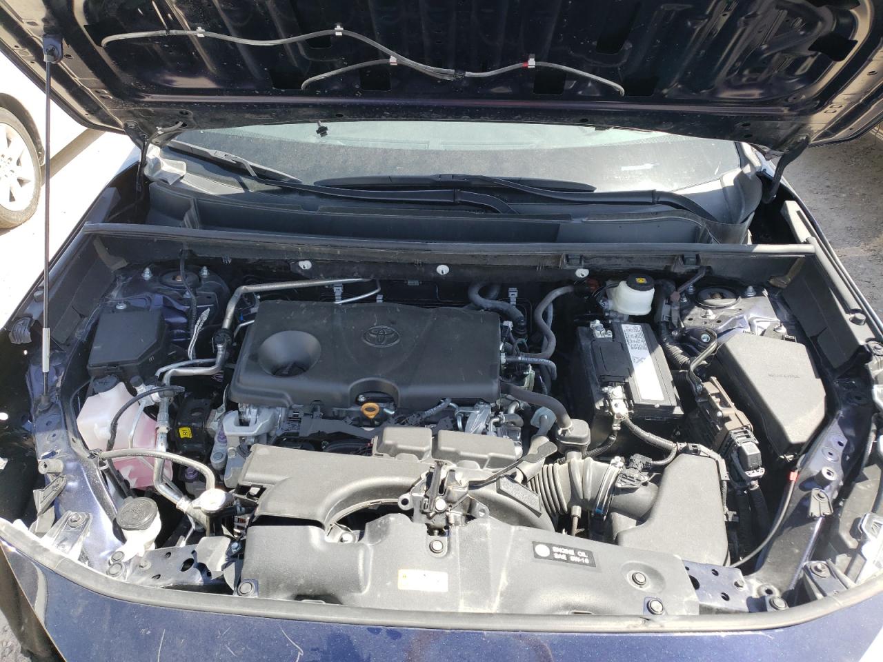Photo 7 from auction – 2019 TOYOTA RAV4 XLE P with VIN 2T3C1RFVXKC022959