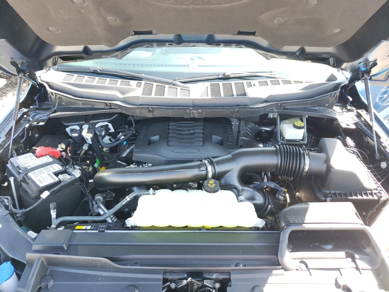 Photo 7 from auction – 2021 FORD F150 SUPER with VIN 1FTFX1E81MFD03091