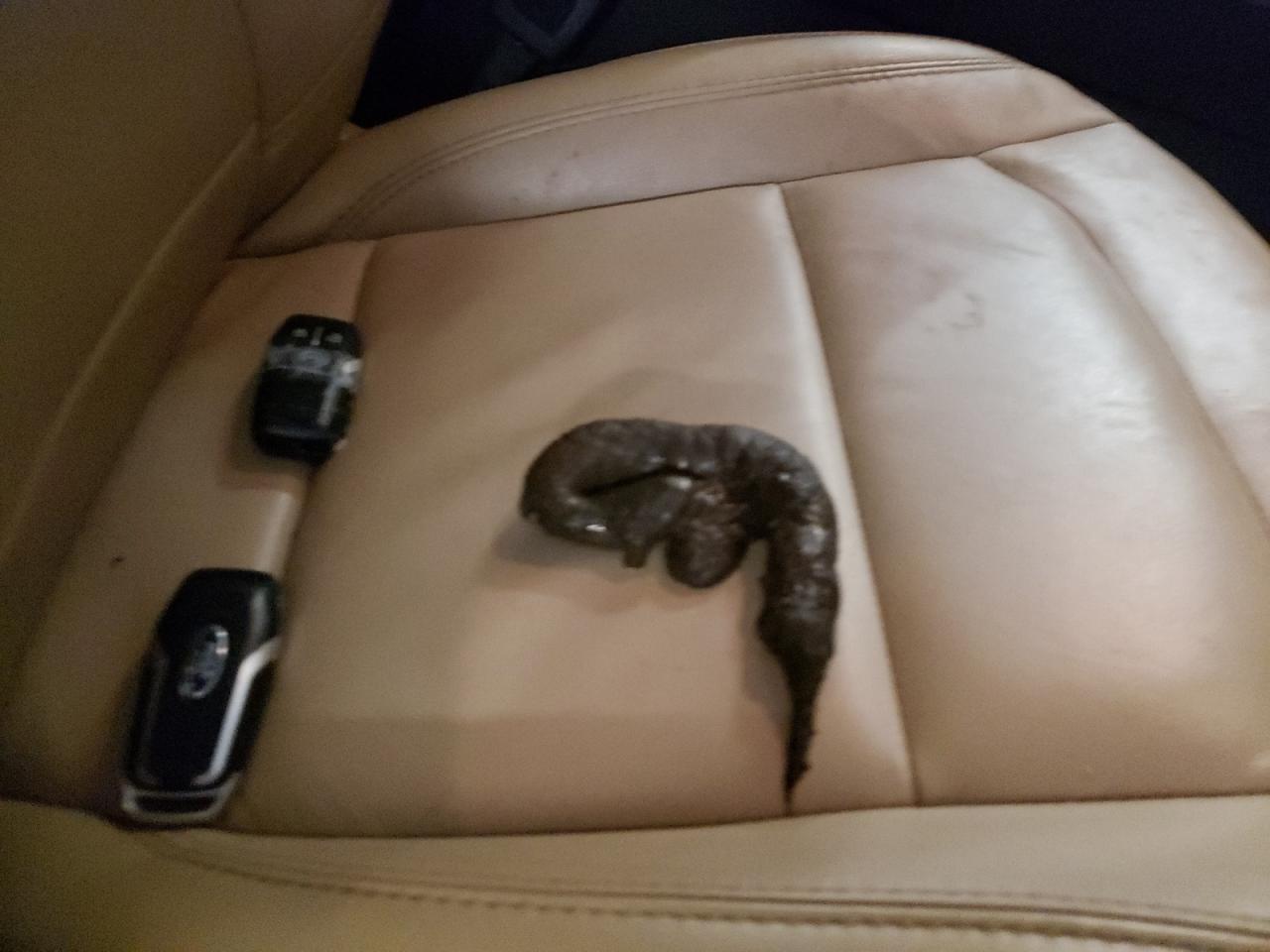 Photo 9 from auction – 2017 FORD EXPLORER X with VIN 1FM5K8D8XHGD14168