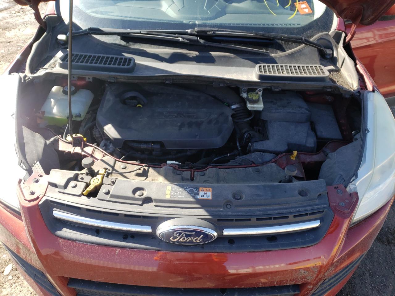 Photo 7 from auction – 2015 FORD ESCAPE SE with VIN 1FMCU0GX1FUA58118
