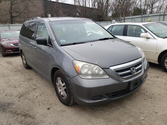 HONDA ODYSSEY EX 2007 with VIN 5FNRL38677B413103 - Photo from auction