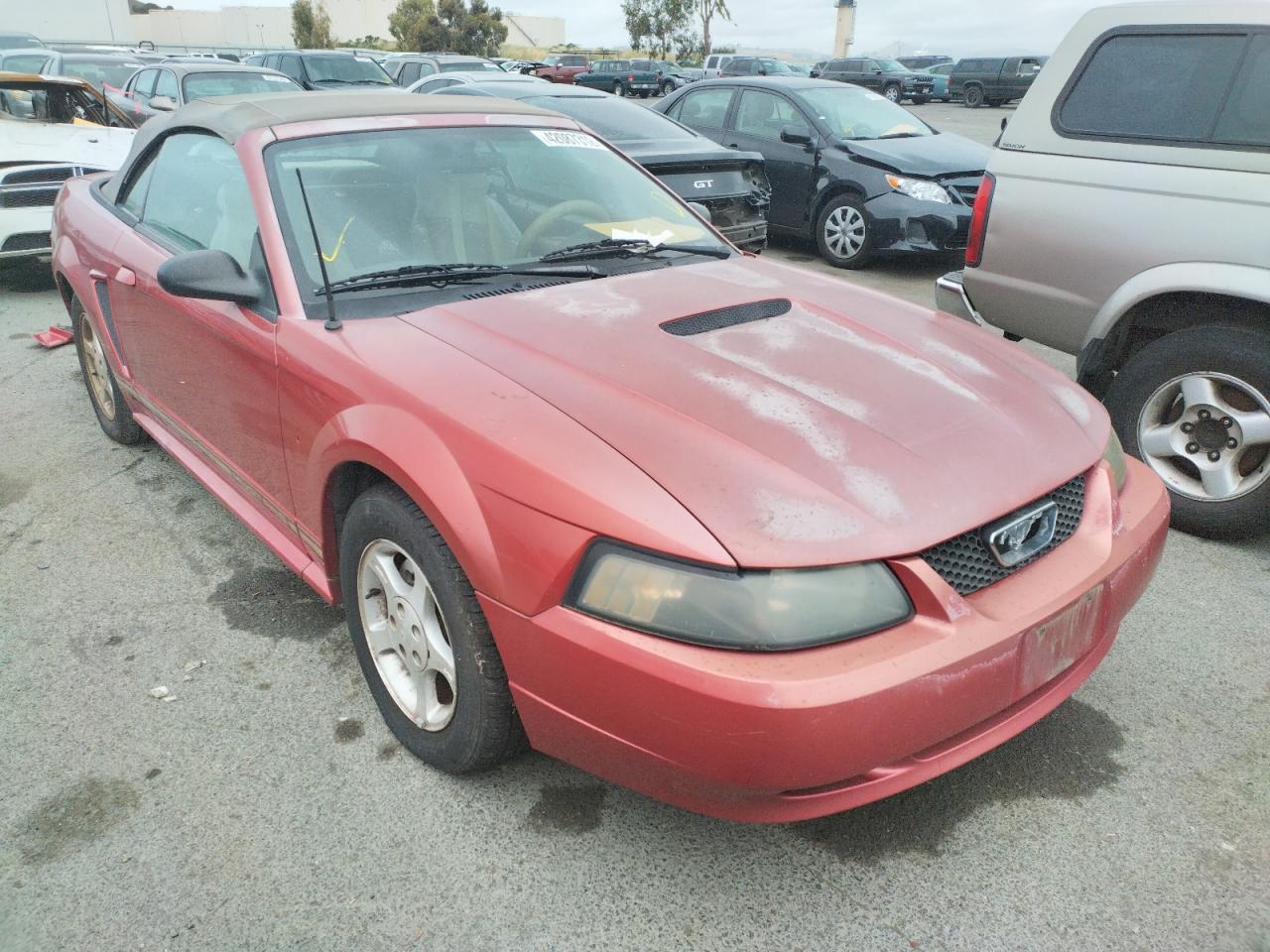 FORD MUSTANG 2001 с VIN 1FAFP44461F129648 - Фото с аукциона