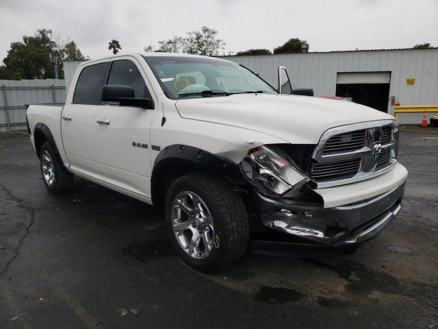 DODGE RAM 1500 2009 with VIN 1D3HB13T69S725801 - Photo from auction