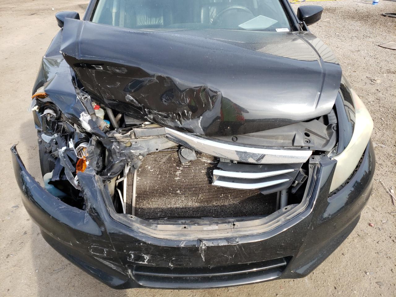 Photo 7 from auction – 2011 HONDA ACCORD EXL with VIN 1HGCP3F87BA013348