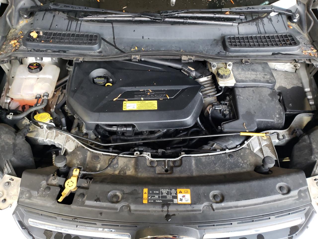 Photo 7 from auction – 2013 FORD ESCAPE SE with VIN 1FMCU9GX4DUA17161