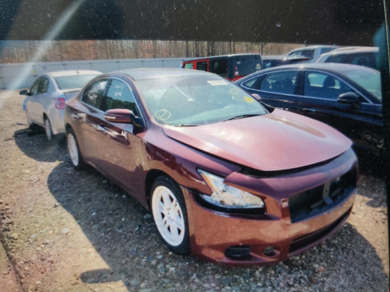 NISSAN MAXIMA S 2010 with VIN 1N4AA5AP8AC812341 - Photo from auction