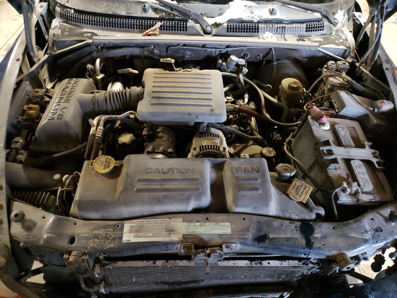 Photo 7 from auction – 2000 DODGE DURANGO with VIN 1B4HS28N1YF129153