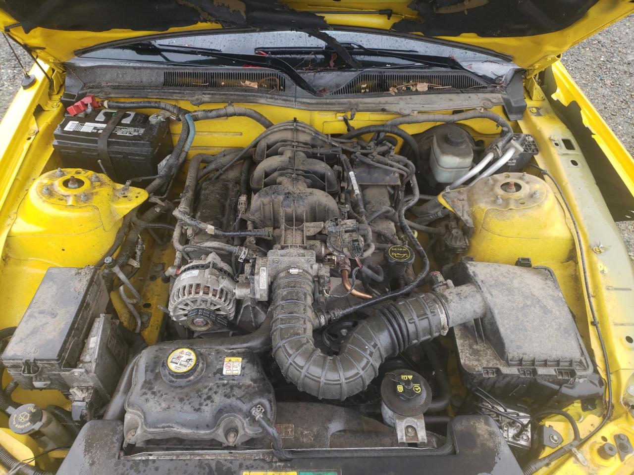 Photo 7 from auction – 2006 FORD MUSTANG with VIN 1ZVFT80N665154409