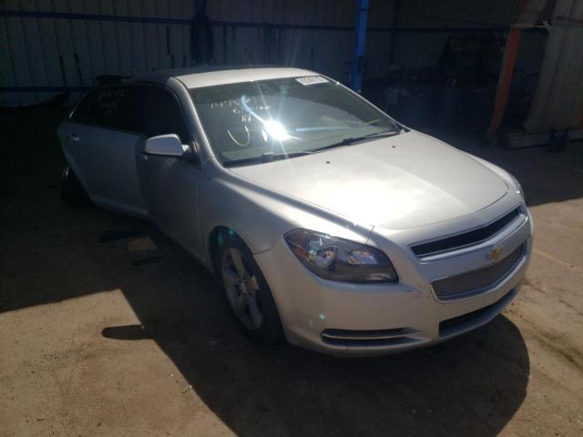 CHEVROLET MALIBU 1LT 2011 with VIN 1G1ZC5EU1BF146293 - Photo from auction