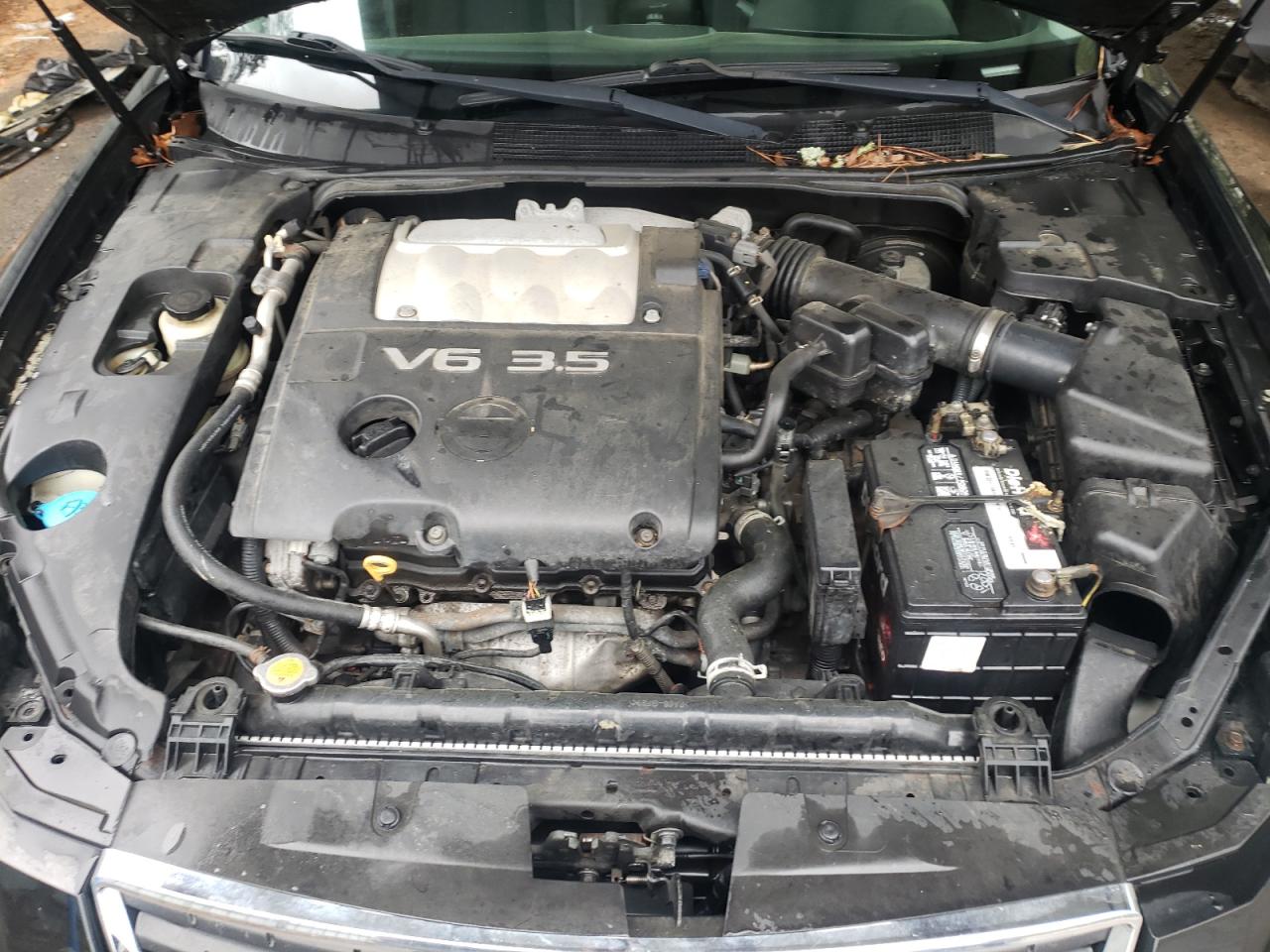 Photo 7 from auction – 2008 NISSAN MAXIMA SE with VIN 1N4BA41E58C816287