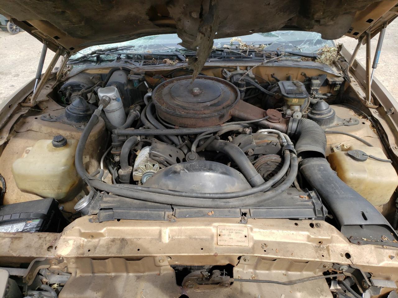 Photo 7 from auction – 1985 PONTIAC FIREBIRD with VIN 1G2FS87H9FN200471