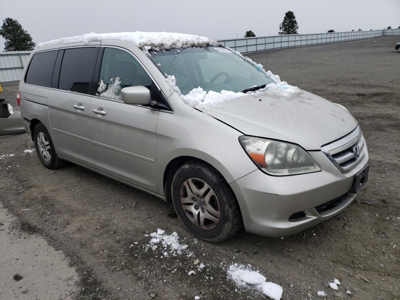 HONDA ODYSSEY EX 2007 with VIN 5FNRL38657B434807 - Photo from auction