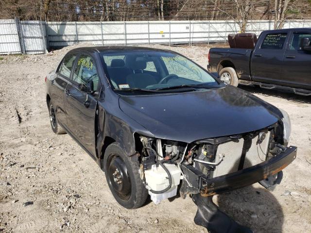 TOYOTA COROLLA BA 2011 with VIN 2T1BU4EE3BC707952 - Photo from auction