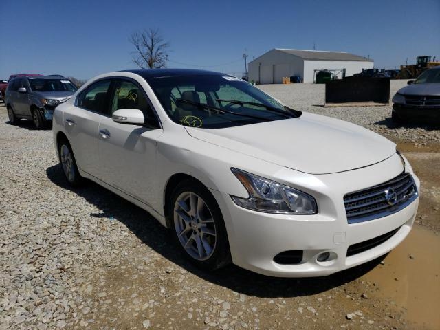 NISSAN MAXIMA S 2011 with VIN 1N4AA5AP8BC814804 - Photo from auction