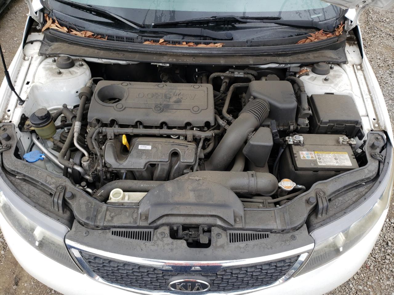 Photo 7 from auction – 2011 KIA FORTE EX with VIN KNAFU4A26B5448557
