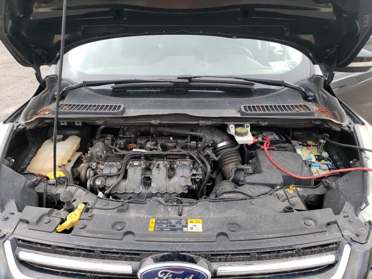 Zdjęcie 7 z aukcji – 2013 FORD ESCAPE SEL z VIN 1FMCU0H98DUC84461