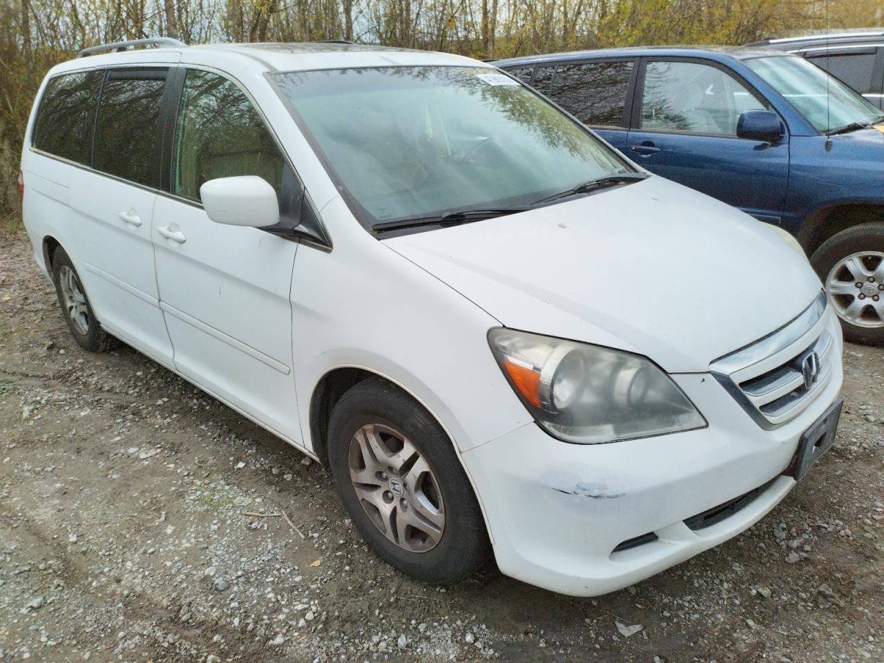 Photo 1 from auction – 2006 HONDA ODYSSEY EX with VIN 5FNRL38726B459946