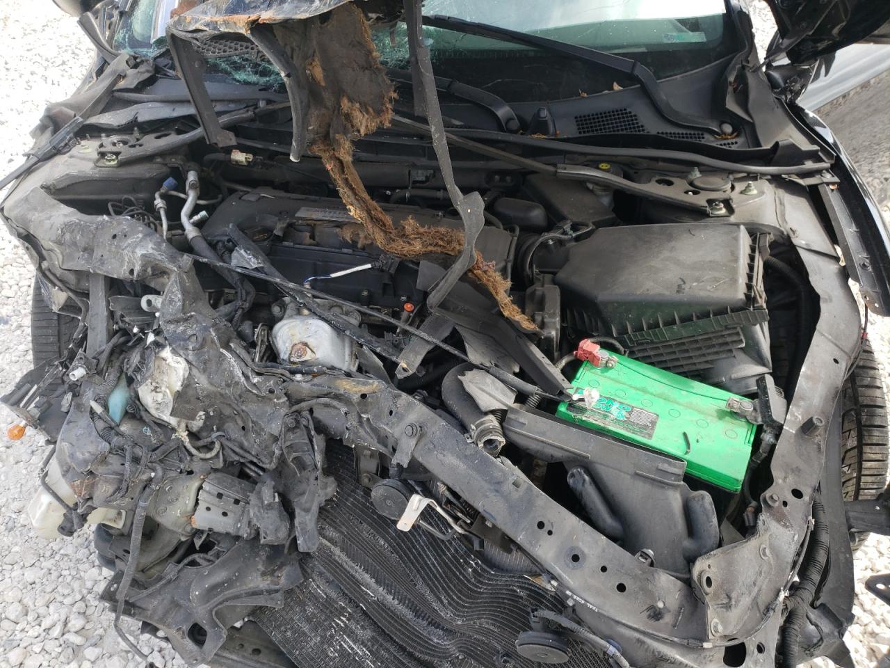 Photo 7 from auction – 2014 HONDA ACCORD SPO with VIN 1HGCR2F55EA282365
