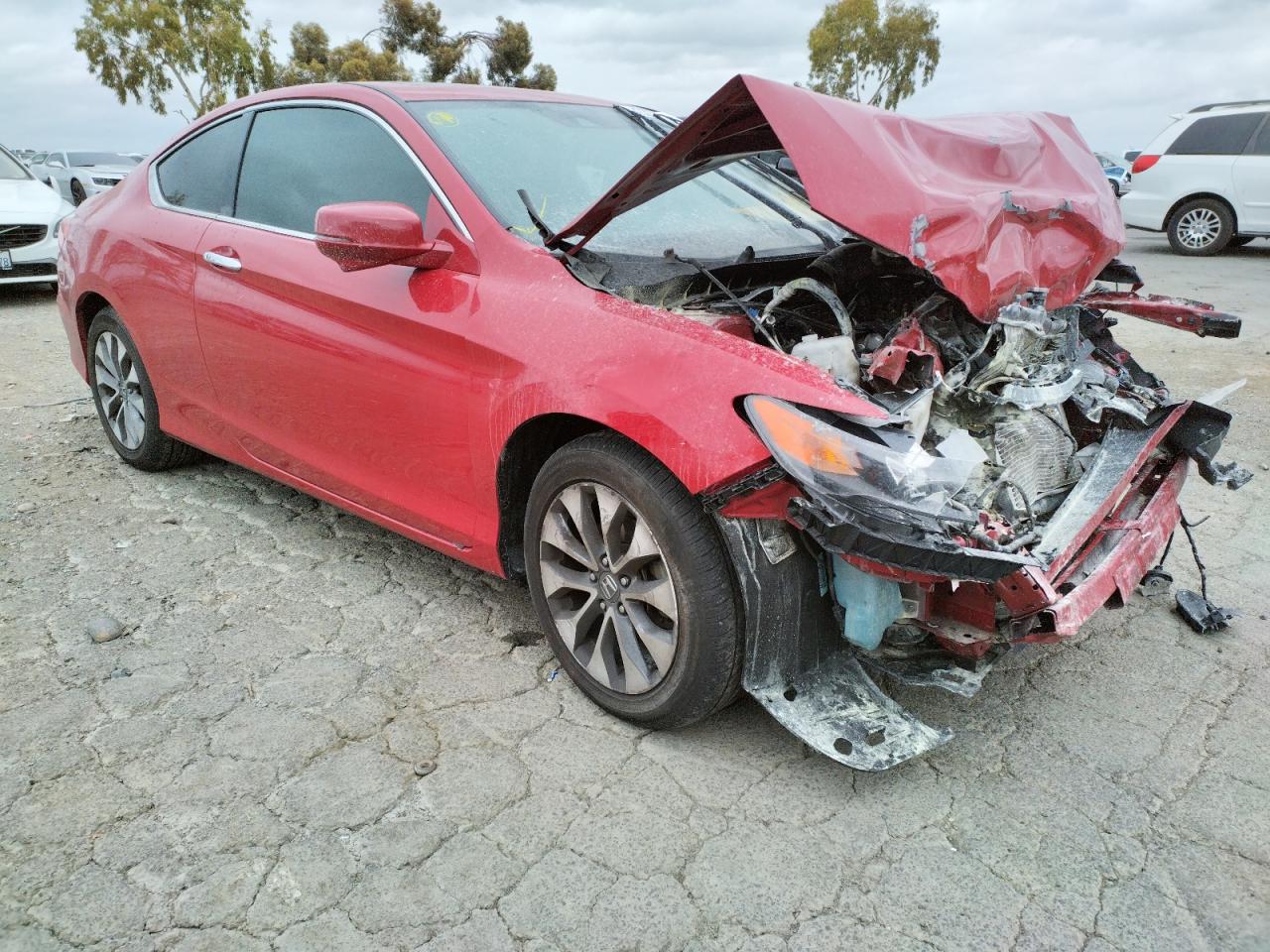 HONDA ACCORD EXL 2014 with VIN 1HGCT1B81EA006809 - Photo from auction