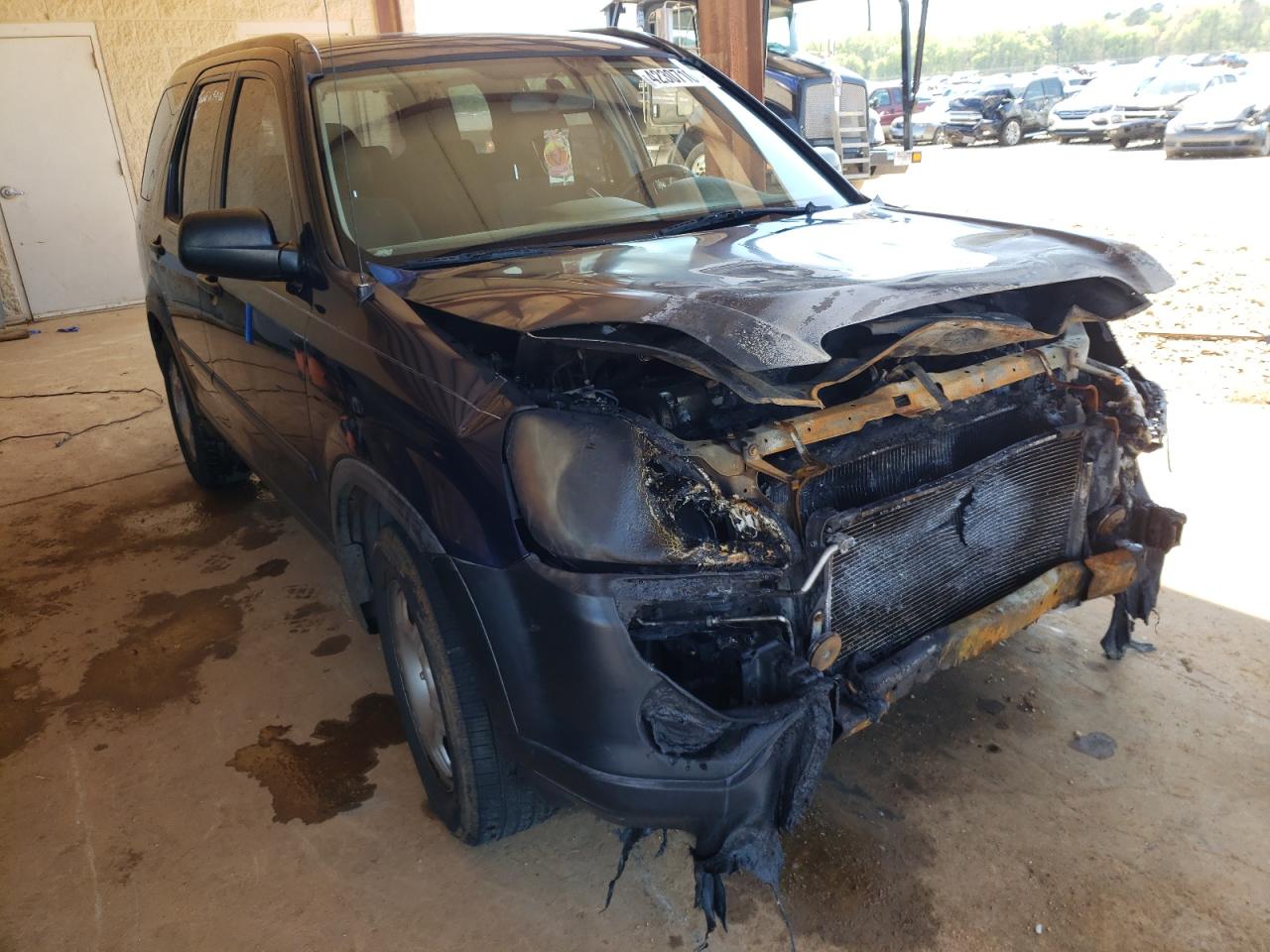 HONDA CR-V LX 2005 with VIN JHLRD68515C010432 - Photo from auction