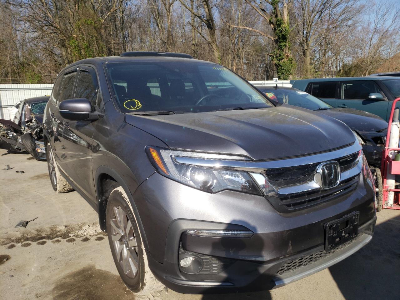 HONDA PILOT EXL 2019 with VIN 5FNYF6H56KB094958 - Photo from auction