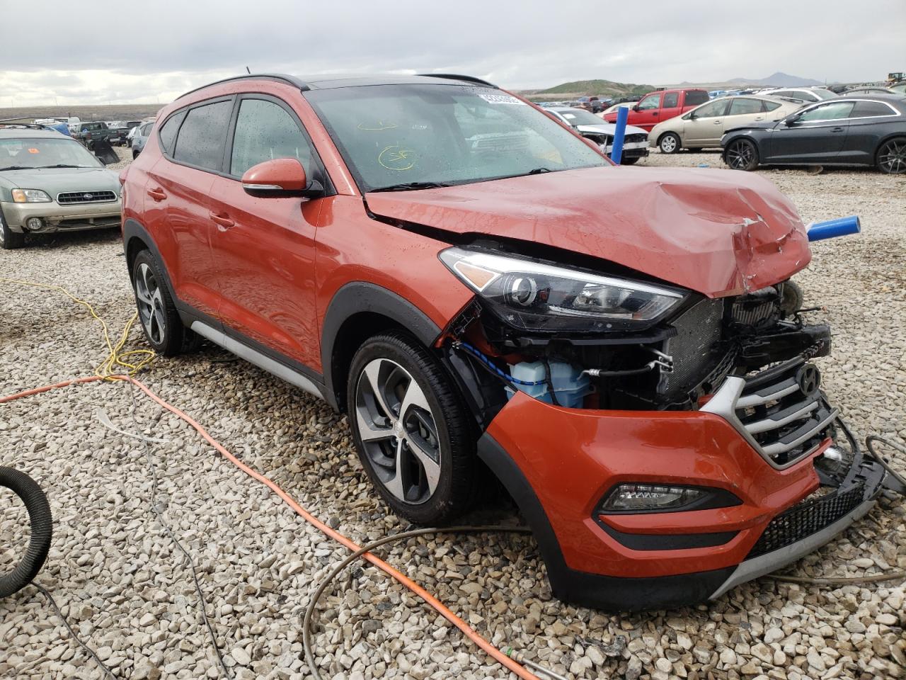 HYUNDAI TUCSON LIM 2017 with VIN KM8J3CA25HU548797 - Photo from auction