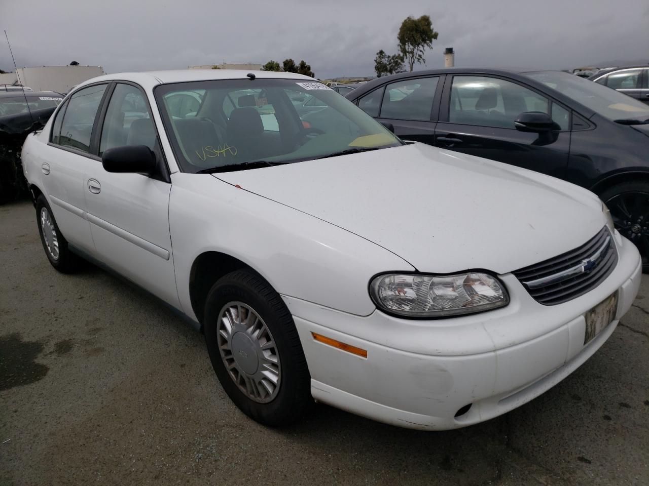 CHEVROLET MALIBU 2003 with VIN 1G1ND52J83M731536 - Photo from auction