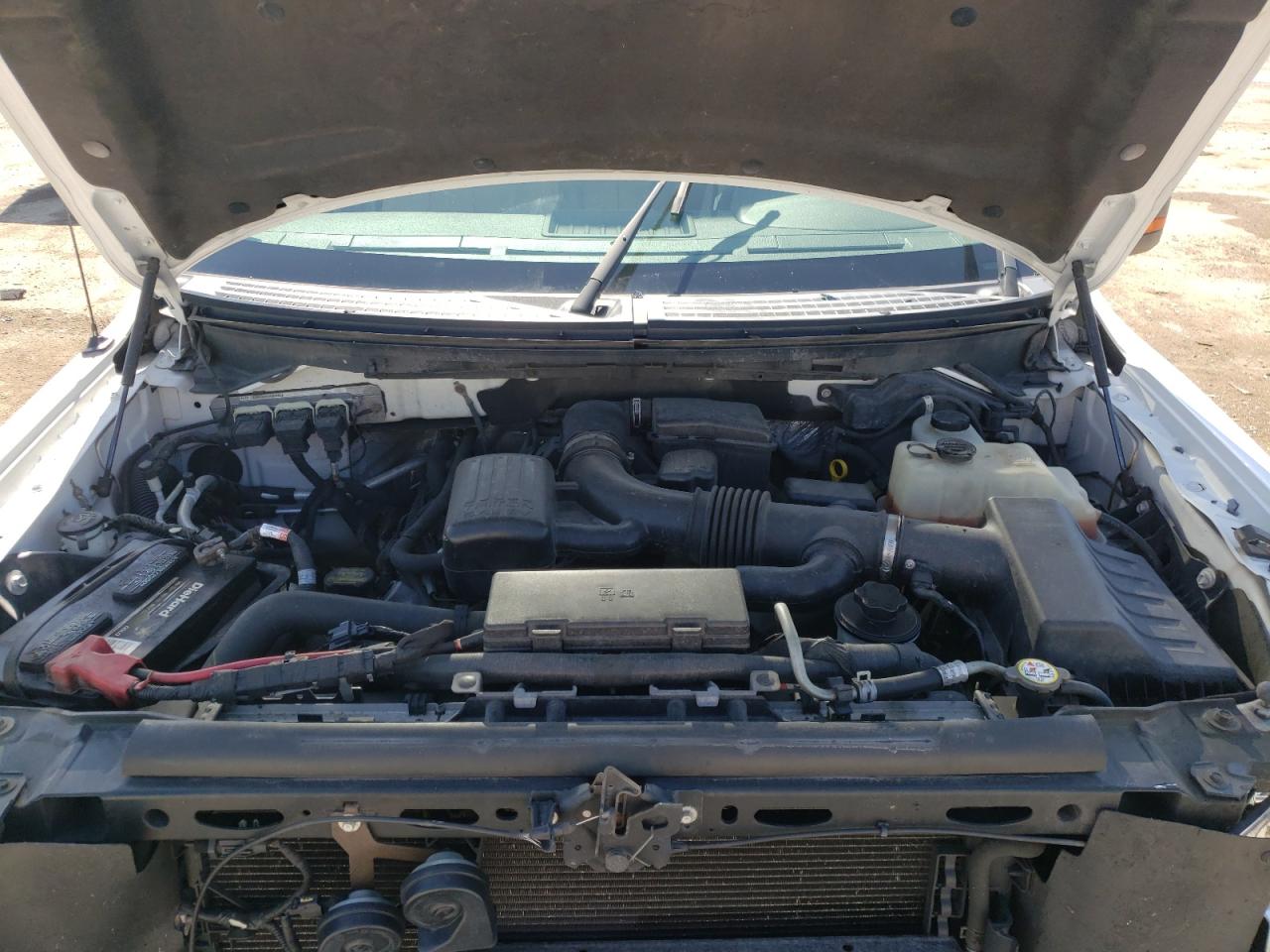 Photo 7 from auction – 2010 FORD F150 SUPER with VIN 1FTFX1EV8AFB77362