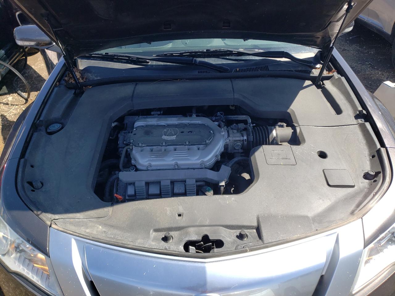 Photo 7 from auction – 2010 ACURA TL with VIN 19UUA8F58AA022552