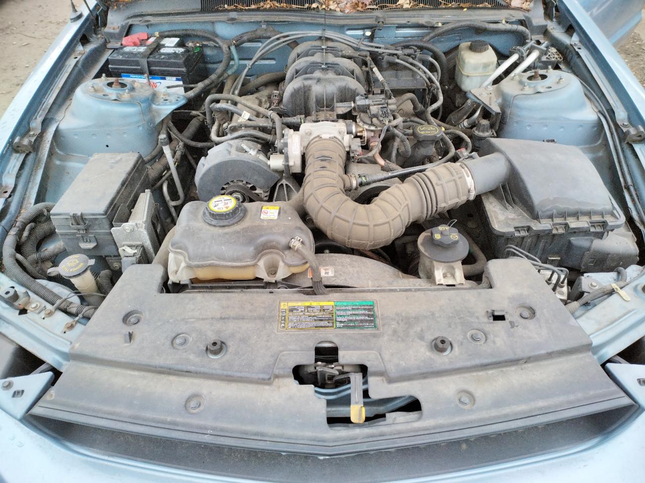 Photo 7 from auction – 2005 FORD MUSTANG with VIN 1ZVFT80N355145410