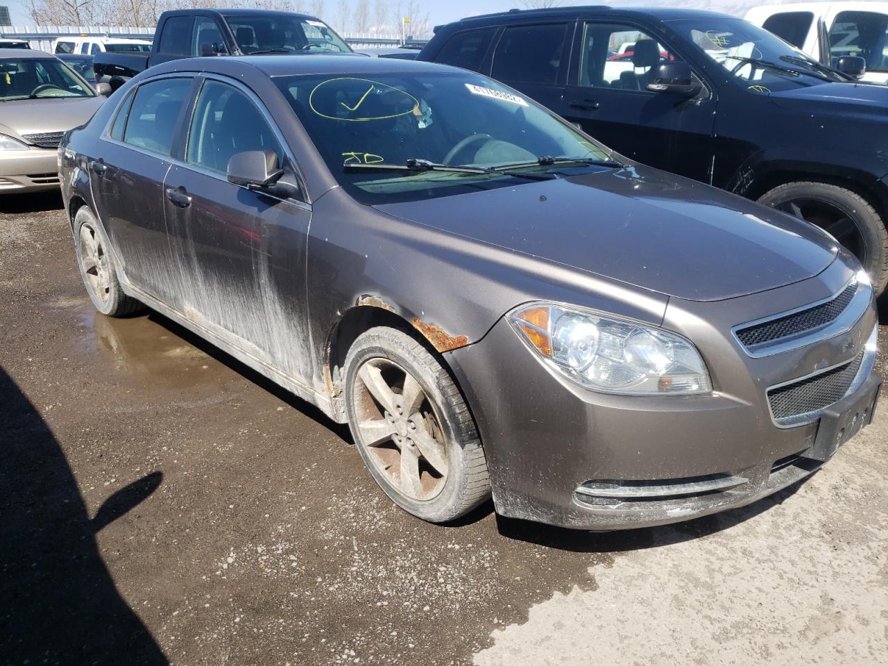 CHEVROLET MALIBU 1LT 2011 with VIN 1G1ZC5EU3BF223083 - Photo from auction