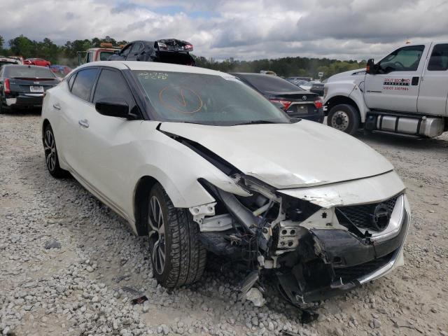 NISSAN MAXIMA 2016 with VIN 1N4AA6AP2GC906858 - Photo from auction