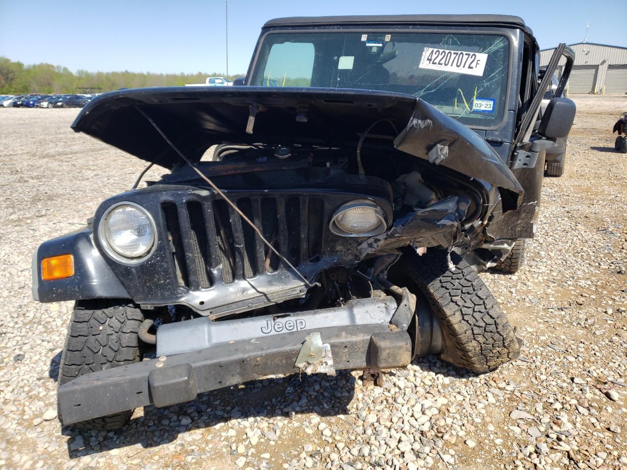Photo 9 from auction – 2003 JEEP WRANGLER / with VIN 1J4FA29113P325339