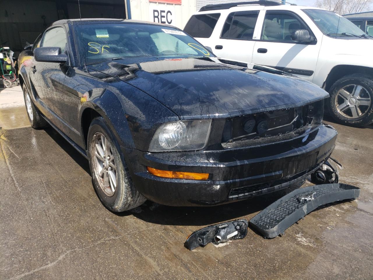 Photo 1 from auction – 2008 FORD MUSTANG with VIN 1ZVHT80N285109642