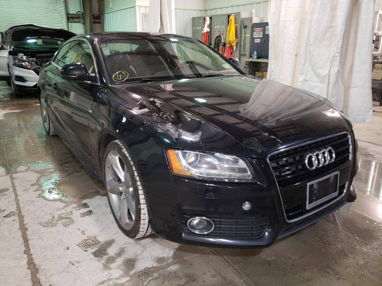 AUDI A5 QUATTRO 2009 with VIN WAUDK78T19A031118 - Photo from auction