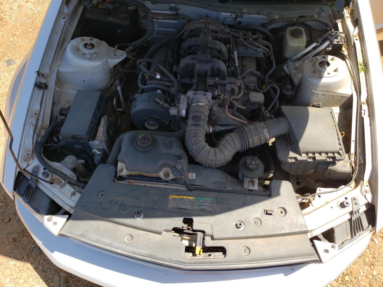Photo 7 from auction – 2005 FORD MUSTANG with VIN 1ZVFT80N855124763